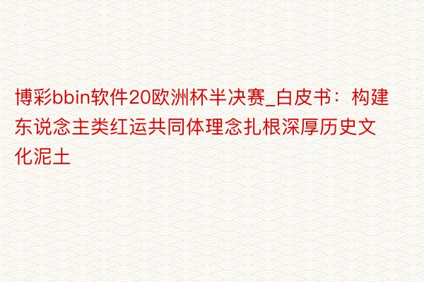 博彩bbin软件20欧洲杯半决赛_白皮书：构建东说念主类红运共同体理念扎根深厚历史文化泥土